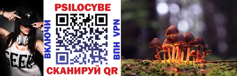Купить закладки  Заполярный  Псилоцибиновые грибы Psilocybe 